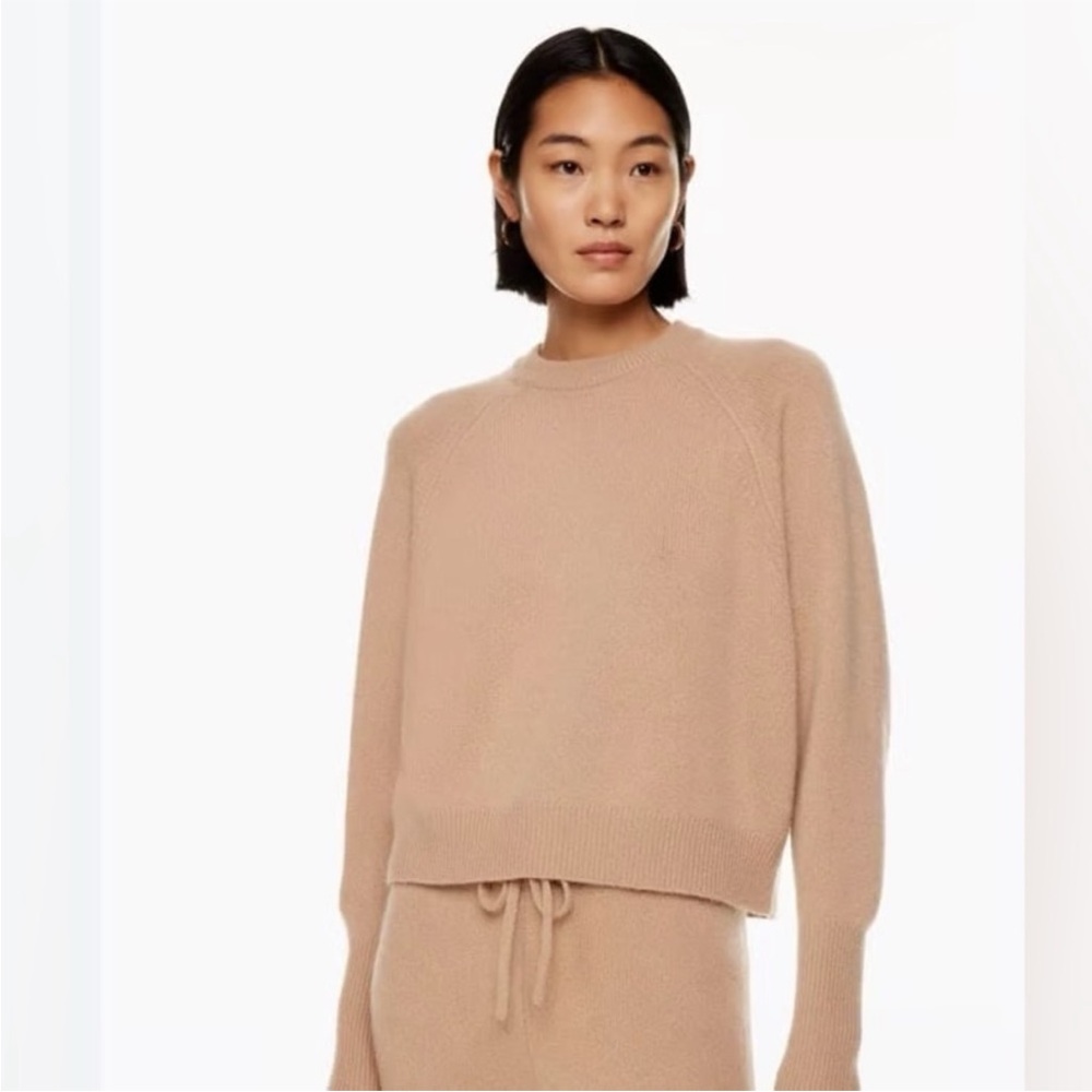 Aritzia Cashmere Sweater The Group Babaton in Taupe